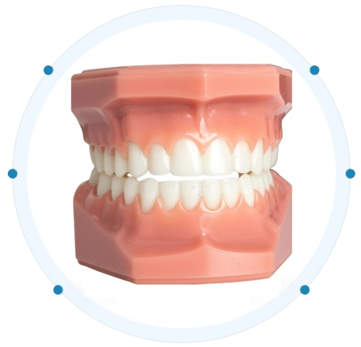 Dental Implants & Gum Disease Treatment